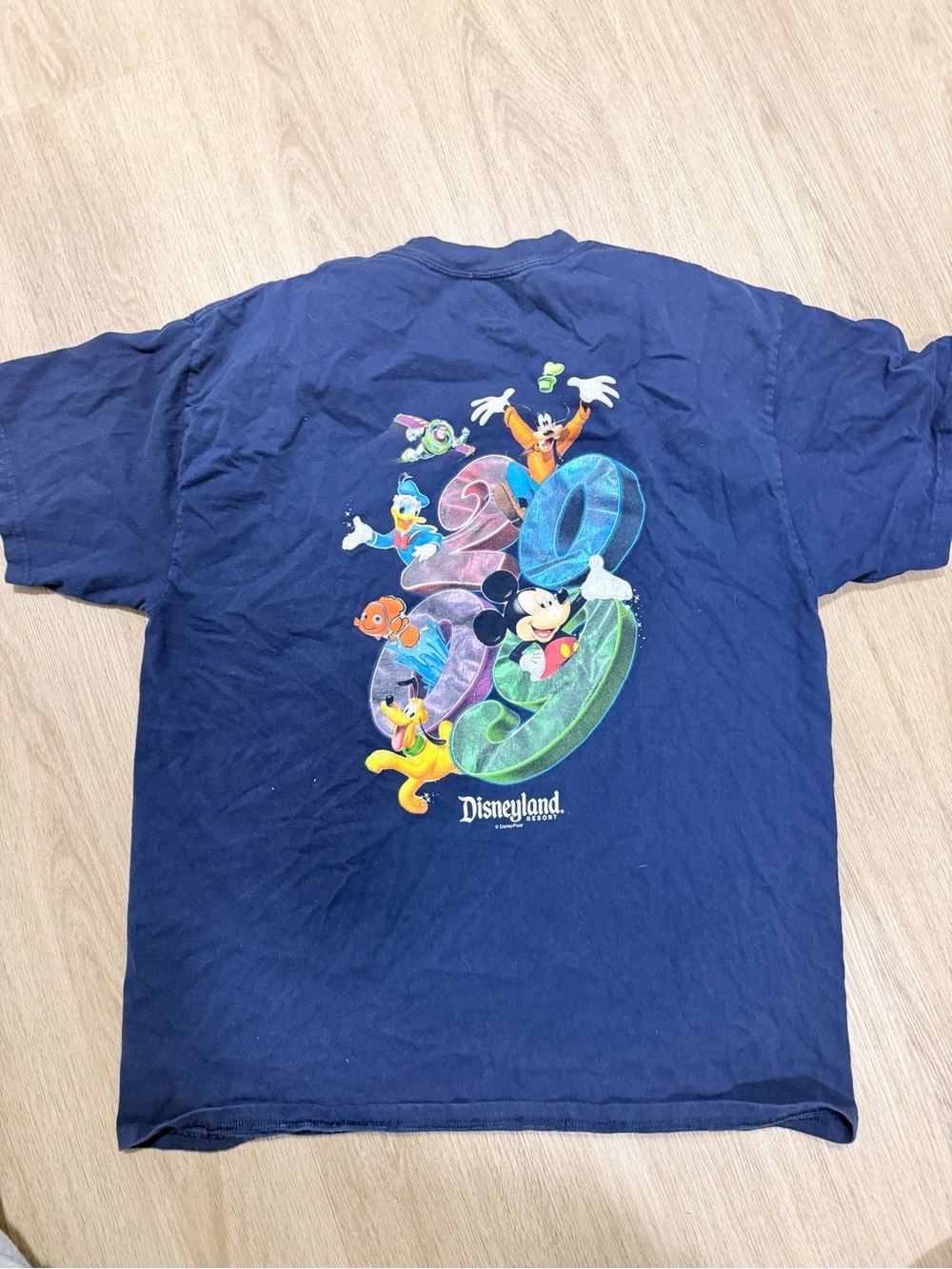Disneyland Navy 20th Anniversary Character Tee 2009